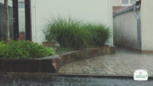 Stormproof Your Garden How to Prepare for Nature’s Worst