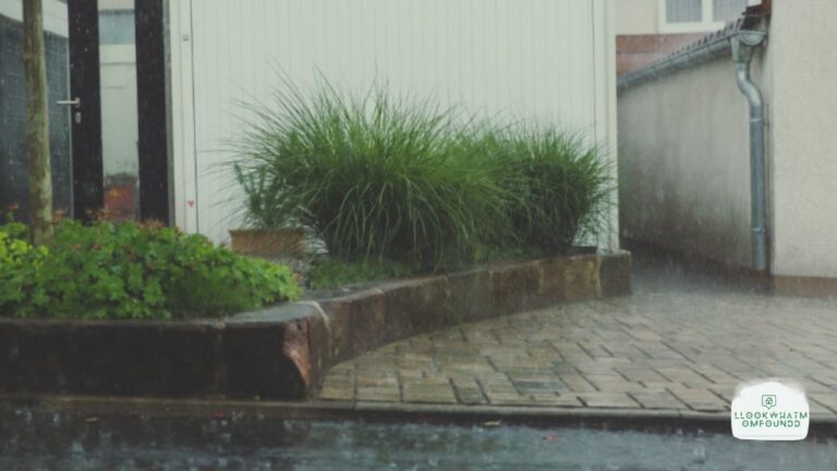 Stormproof Your Garden How to Prepare for Nature’s Worst